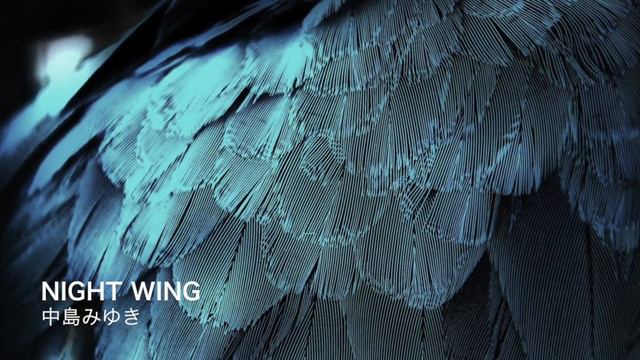 Night Wing (中島みゆき)[歌ってみた] {ピコピコぱんだ♂} 【Cover/カバー】 смотреть онлайн