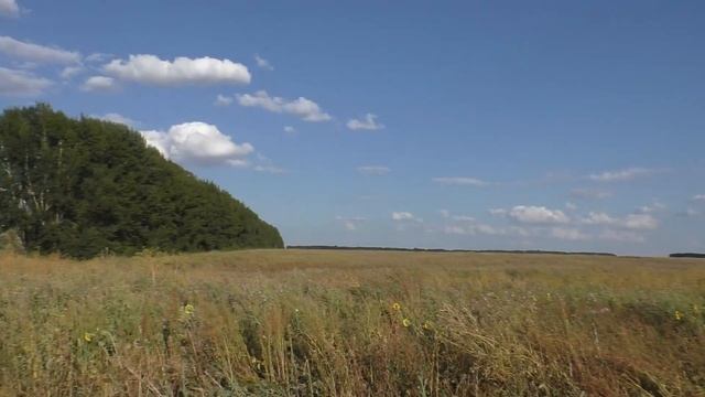 УРА дождались - пора собирать урожай монет! смотреть онлайн