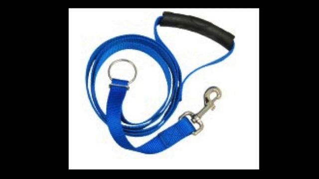 *Instantly Train Your Dog to Walk on a Leash* | Instant Trainer Leash смотреть онлайн