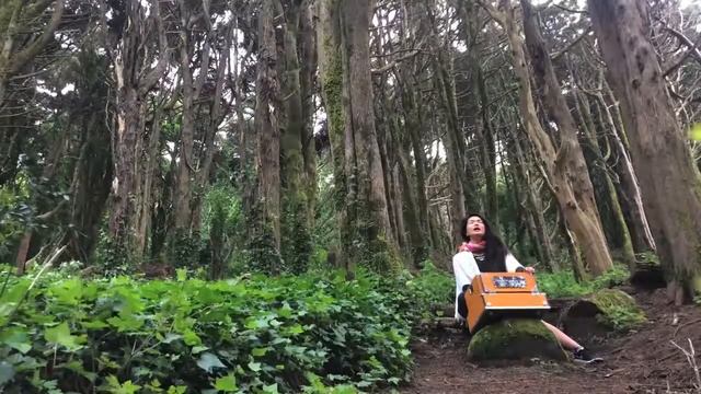 Asatoma (mantra on harmonium) смотреть онлайн