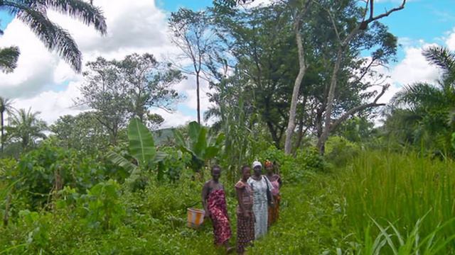 Удивительные факты о Сьерра - Леоне #ТОП20