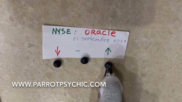 Oracle- Stock price. prediction and forecast смотреть онлайн