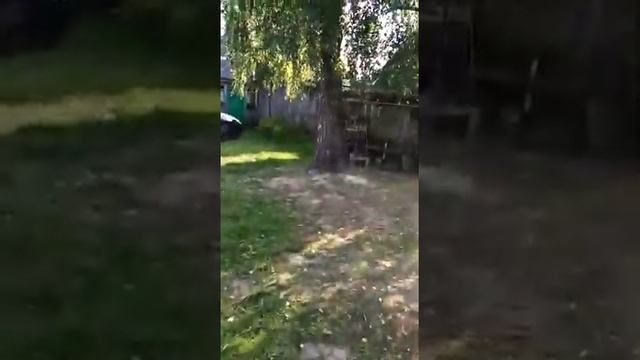 Клетня.Папа дочке купил подарок. Первый выезд был таким. смотреть онлайн