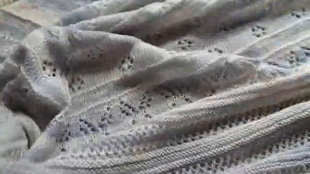 Бактус из пряжи Alize 