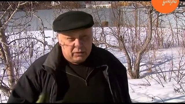 Как защитить деревья в саду от грызунов смотреть онлайн