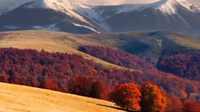 Осенние пейзажи релакс 1 online video cutter com смотреть онлайн