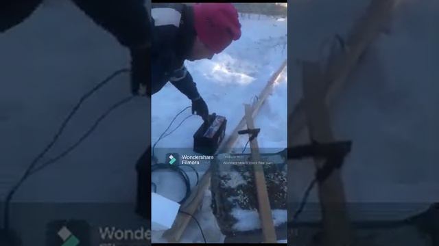 Эстетический выбор