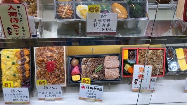 everything you need to know shinkansen bullet train from tokyo to osaka ? | ?? japan travel vlog смотреть онлайн