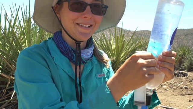 Arizona Trail Oracle to Superior PT 2, 750 Race Record, Animal Thieves, Boyce Thompson Arboretum Ep смотреть онлайн