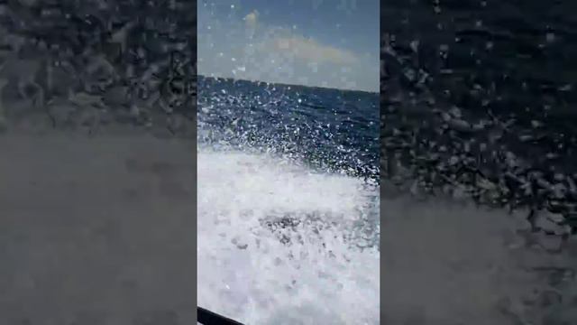 Плывём на остров через чёрное море УКРАIНА смотреть онлайн