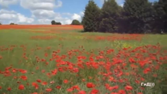 Мелодия любви ! САКСОФОН!!! смотреть онлайн