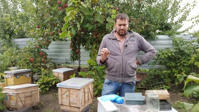 Кормушки для пчел потолочные или внутриульевые. Дозировка как подкармливать пчел на пасеке смотреть онлайн