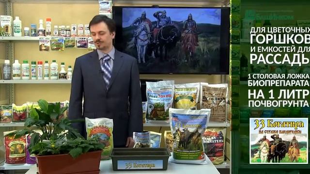 Применение почвооздоравливающего биопрепарата 33 Богатыря смотреть онлайн