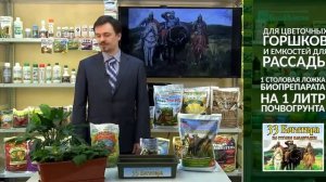 Применение почвооздоравливающего биопрепарата 33 Богатыря