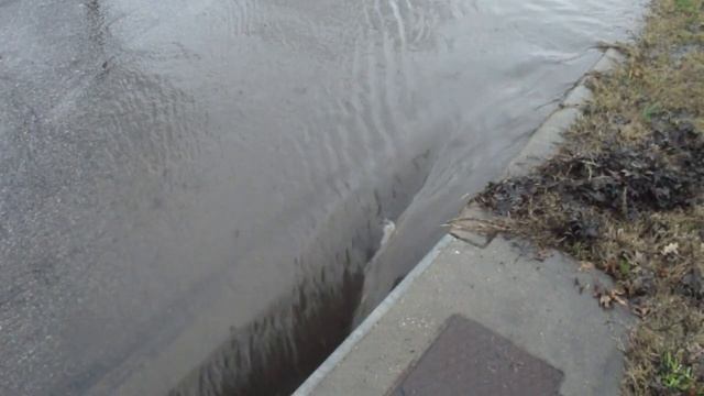 Unblocking a Clogged Street Drain for Safe Traffic Flow смотреть онлайн