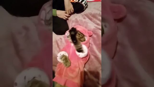 Французик смотреть онлайн