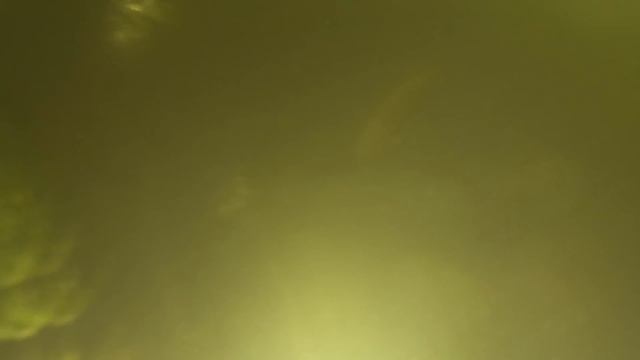 Дневной Сом под Камышами / Подводное Видео 2018 смотреть онлайн