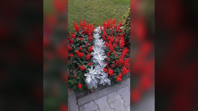 ?100 Идей ландшафтного дизайна. Озеленение двора частного дома! 100 Landscape Design Ideas. смотреть онлайн