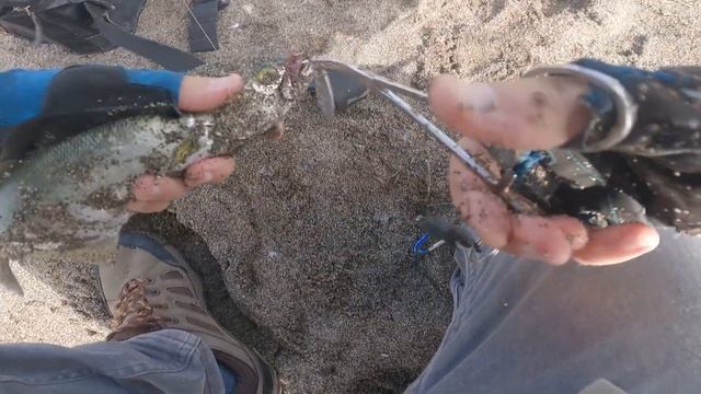 Su üstü patlatmaları ile Lüferowski avlamak. At-çekle en heyecanlı avlardan biri смотреть онлайн