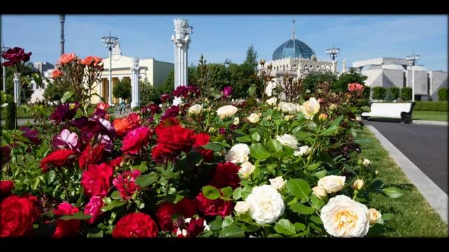 В МОСКВУ...Александра Яковенко, сопрано... Антон Григорьев,тенор... смотреть онлайн