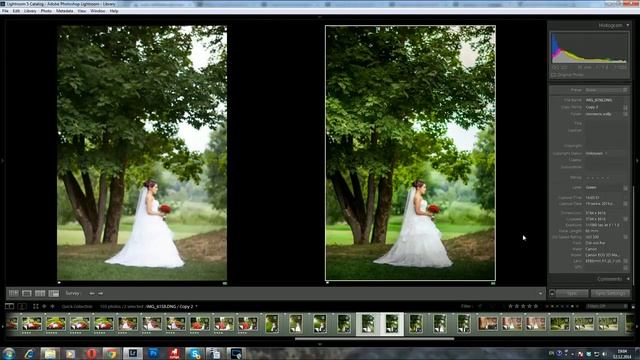 Илья Двояковский МК Цветокоррекция и тонирование в Lightroom 2020 смотреть онлайн