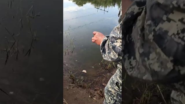 Ловля раков и отдых в Жарковском смотреть онлайн