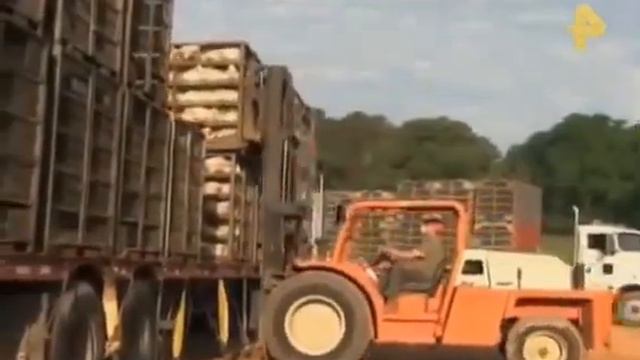 Самые шокирующие гипотезы. Пища для ума! смотреть онлайн