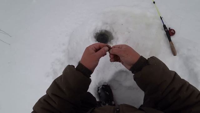 ОДИН В ТАЙГЕ! УЕХАЛ ТУДА, ГДЕ НЕТ НИ КОГО! СНЕЖНАЯ ДОРОГА ДО ЗИМОВЬЯ \ СТАВЛЮ СНАСТИ, БЫТ У ИЗБЫ ! смотреть онлайн