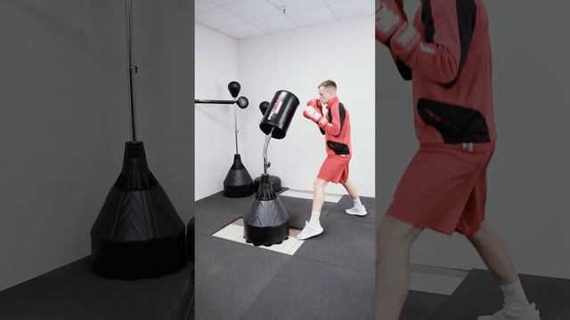 Rocky vs. Mishnev смотреть онлайн