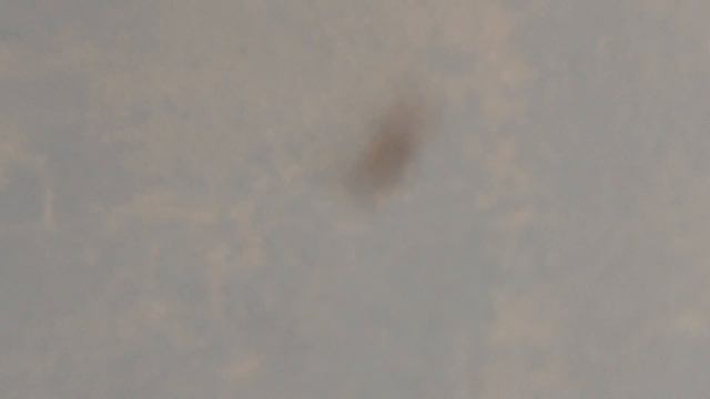 Страшный паук поселился в ванной смотреть онлайн