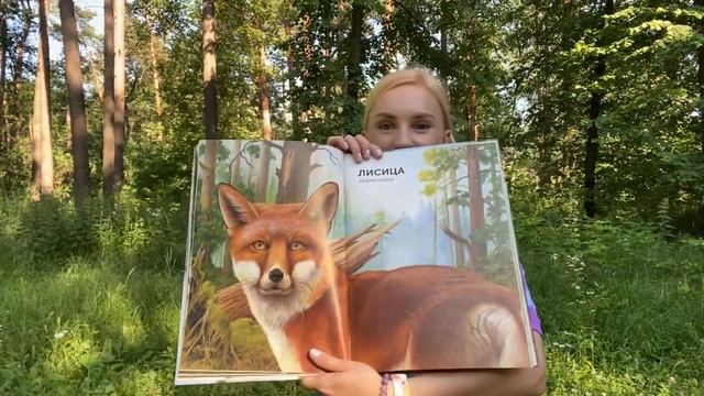 Обзор книги «Лесные животные в натуральную величину» смотреть онлайн
