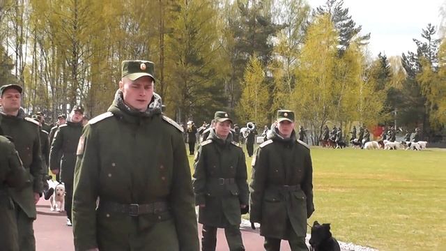 13.05.2017 вручение сертификатов. смотреть онлайн