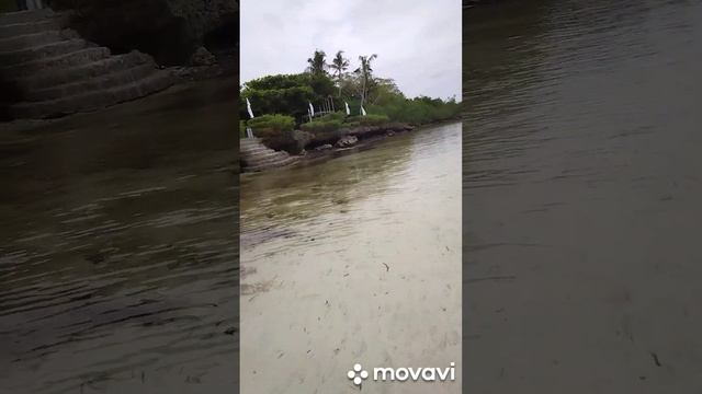 3). Филиппины, о.Панглао. #панглао # panglao # дикарём #нетпляжей #гуглврёт смотреть онлайн