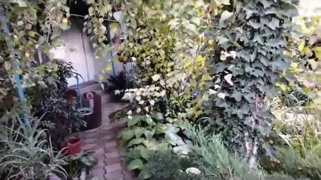 Мой дворик в разное время года. смотреть онлайн