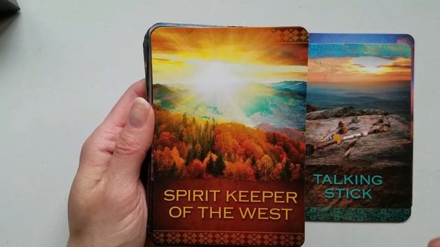 Deck Review | Native Spirit Oracle Cards смотреть онлайн