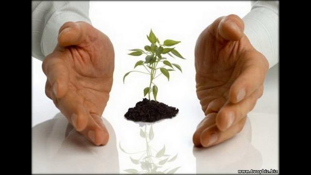 как начать свое дело без вложений смотреть онлайн