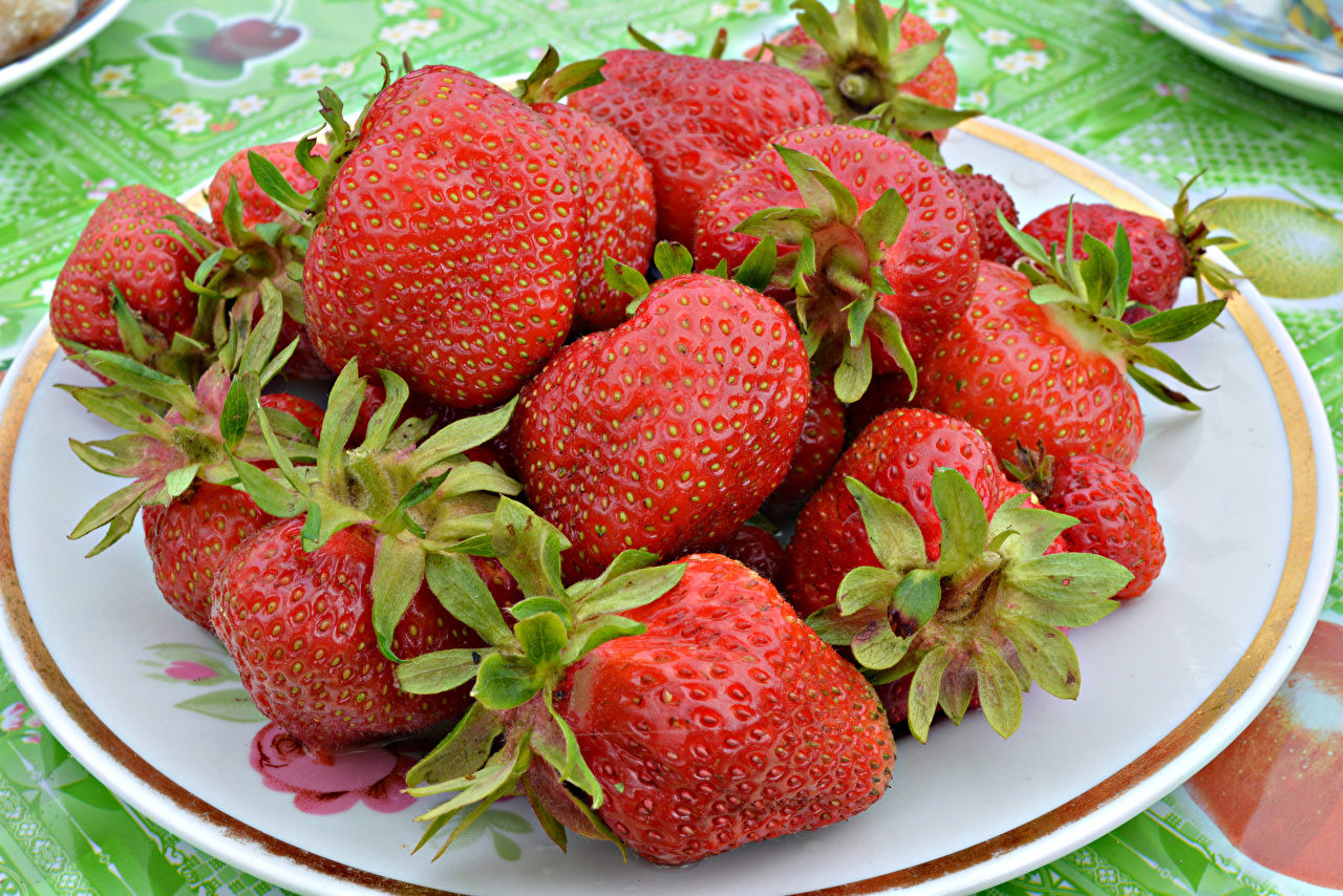 ОБЯЗАТЕЛЬНАЯ ОБРАБОТКА КЛУБНИКИ ОТ БОЛЕЗНЕЙ И ВРЕДИТЕЛЕЙ ДО ЦВЕТЕНИЯ.