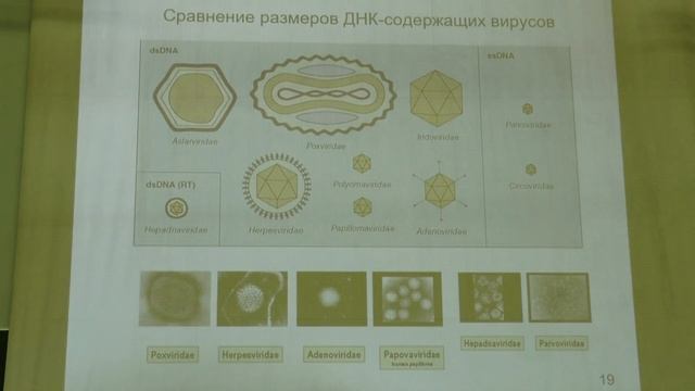Карпова О. В. - Вирусология - Введение в предмет вирусологии смотреть онлайн