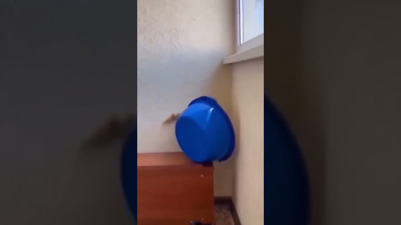 Народное Слово