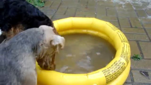 MOV09389.MPG смотреть онлайн