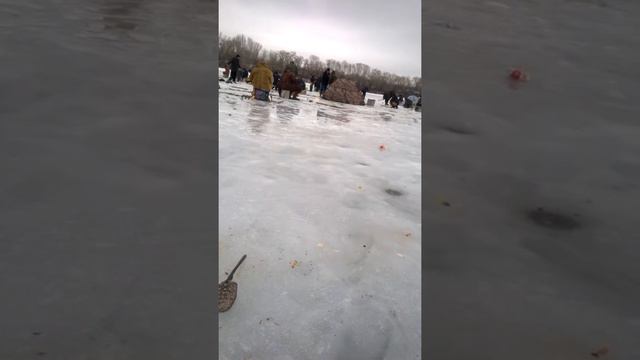 не поделили лунку на рыбалке!!! смотреть онлайн