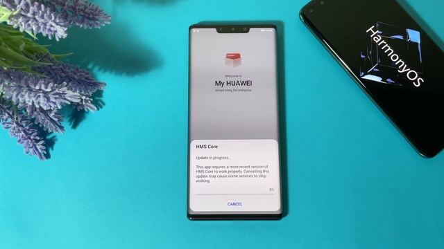 Harmony OS - How To Update Your Huawei Phone!