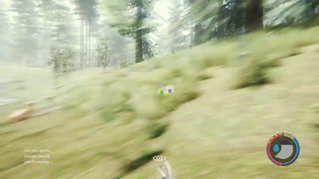 WALL HACKS CONFIRMED IN THE FOREST смотреть онлайн