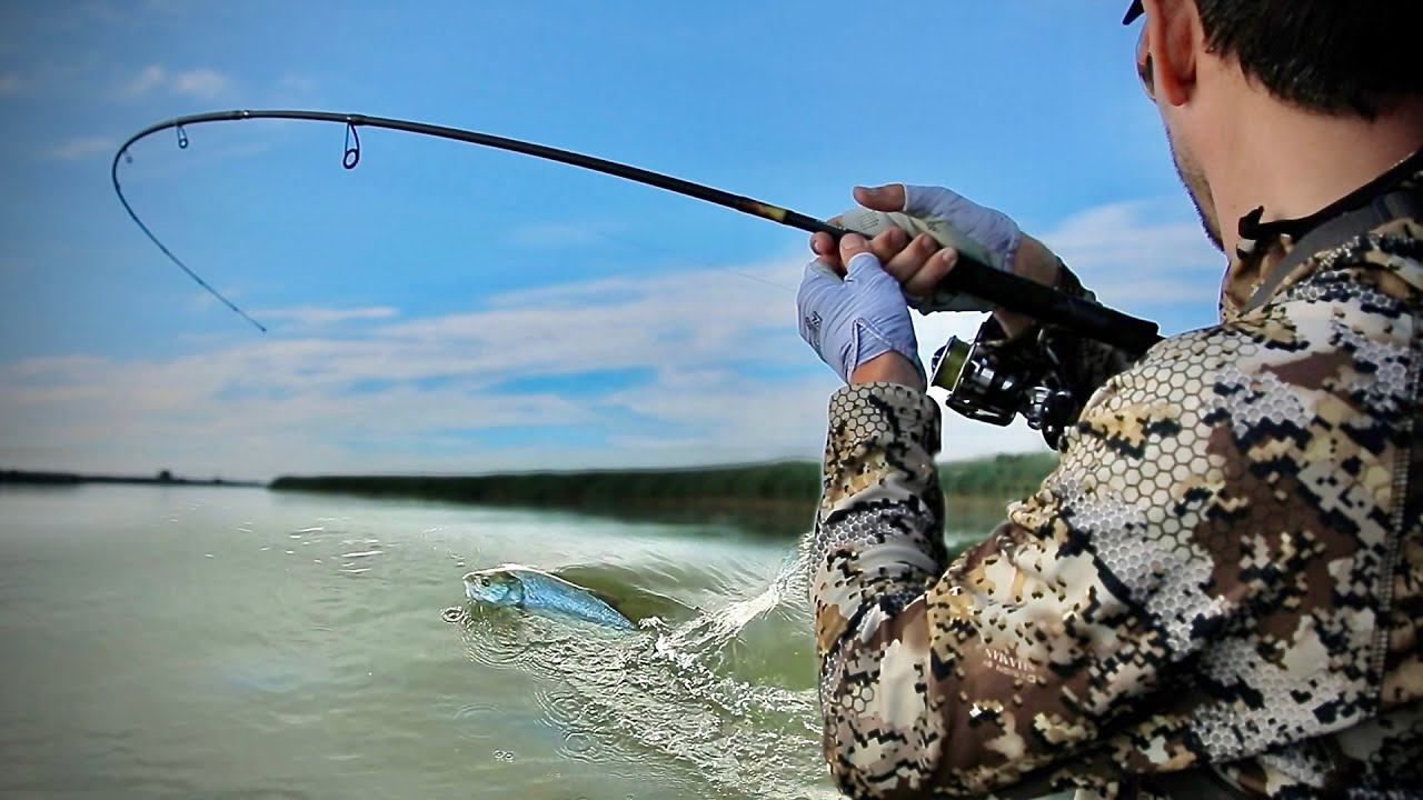Эта рыба ЛОМАЕТ нам удочки... смотреть онлайн