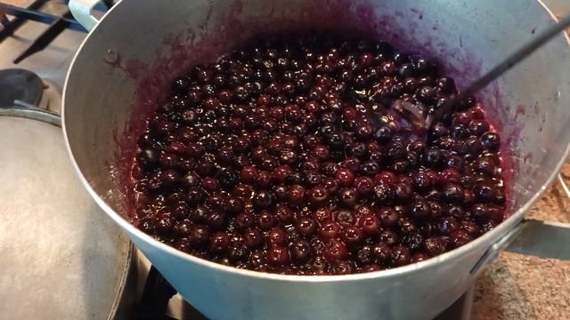 Консервирую ЧЕРНОПЛОДНУЮ РЯБИНУ /Варенье из АРОНИИ /Груши дольками в сиропе /ЗАГОТОВКИ НА ЗИМУ смотреть онлайн