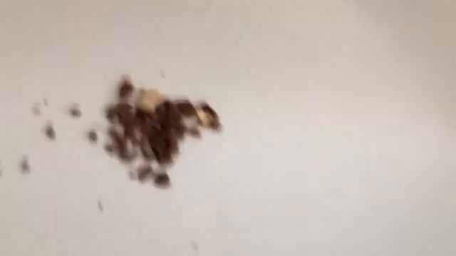 Варенье из груш с апельсином смотреть онлайн