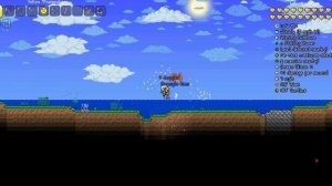 Как включить или выключить замедление в террарии