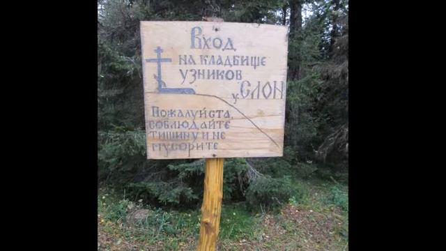 ФОТОФИЛЬМ г СЕКИРНАЯ СЛОН - КРУТАЯ ЗОНА ! смотреть онлайн
