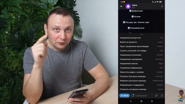 Управляем Яндекс.Станцией и умным домом через Телеграм. Алиса в телеграме! смотреть онлайн