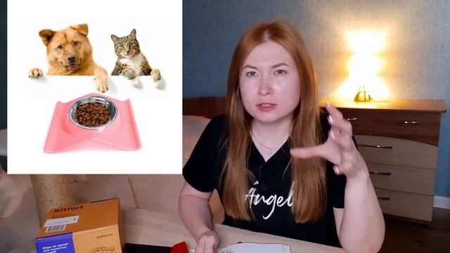 Ошибки в кормлении кошек/РОЗЫГРЫШ ФОНТАНЧИКА!